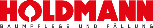 Holdmann